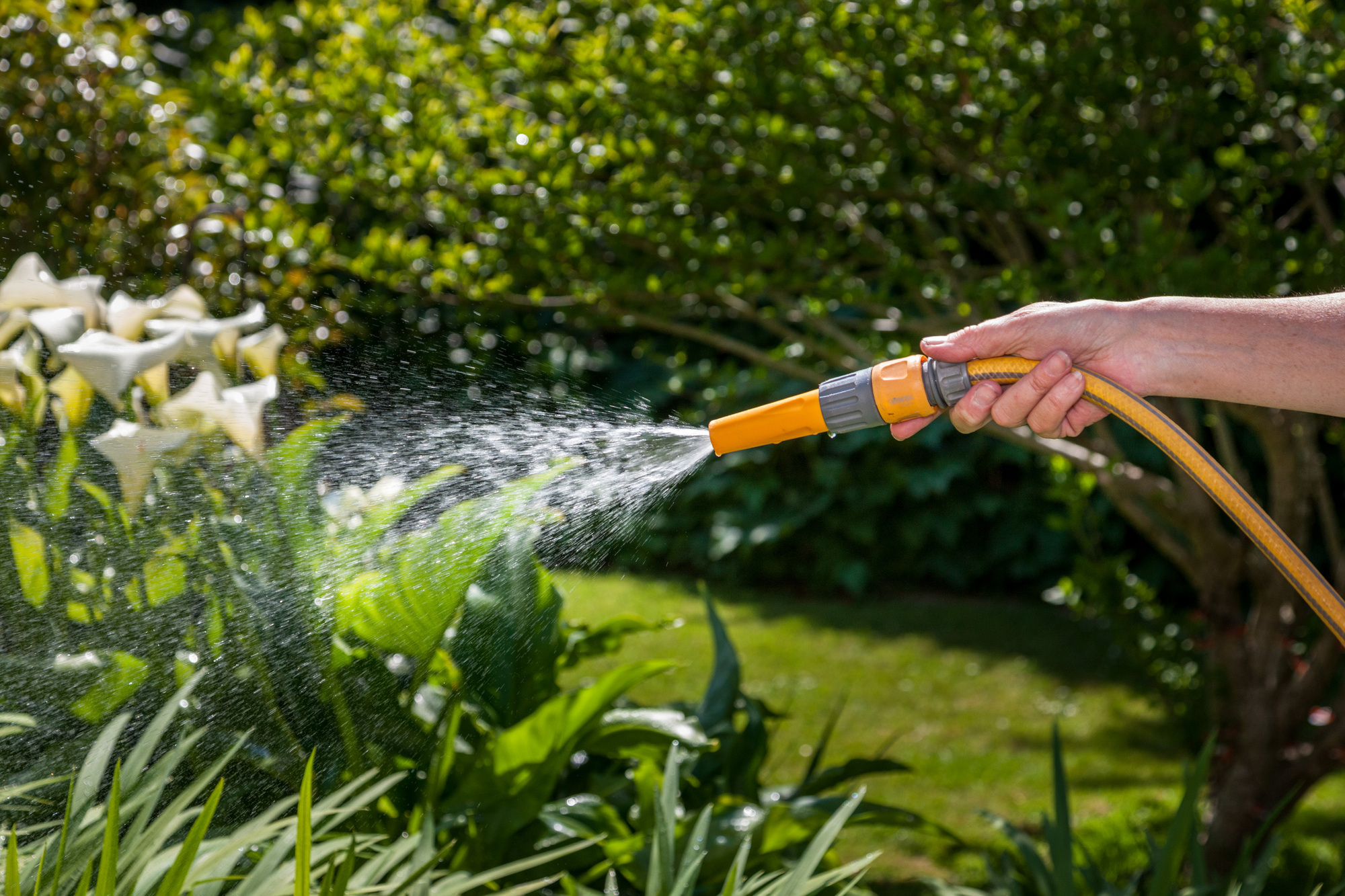 'No harm to let the lawn get a tan': Irish Water urges public to conserve water amid hot weather