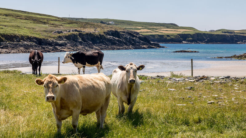 The burning issues for farmers as temperatures soar