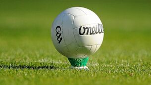 <p>Limerick led from the 14th minute to the final whistle to book their place in the semi-final away to Clare on July 30.</p>