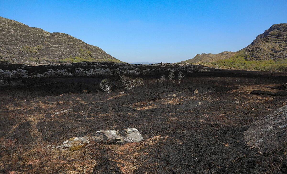 Thousands of acres of Killarney National Park were burnt  in the Western section of Killarney National Park, Purple and Sheehy Mountains, Derrycunnihy, Tomies Wood, Sheehy Mountain, Gearhameen, Doogary, Eagles nest and The Five mile Bridge. Picture: Valerie O'Sullivan/25/04/2021