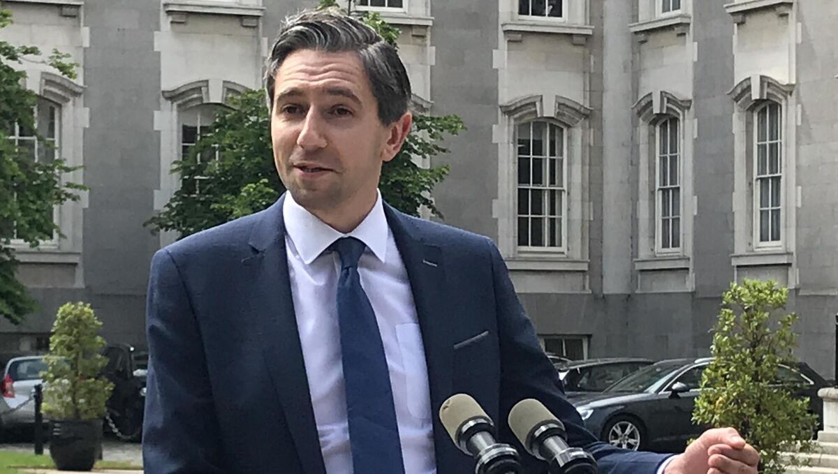 Higher Education Minister Simon Harris: 'Last year the presumption was that learning would be primarily online. This year, the presumption is that learning will be mainly on-site.' Higher Education Minister Simon Harris: 'Last year the presumption was that learning would be primarily online. This year, the presumption is that learning will be mainly on-site.'