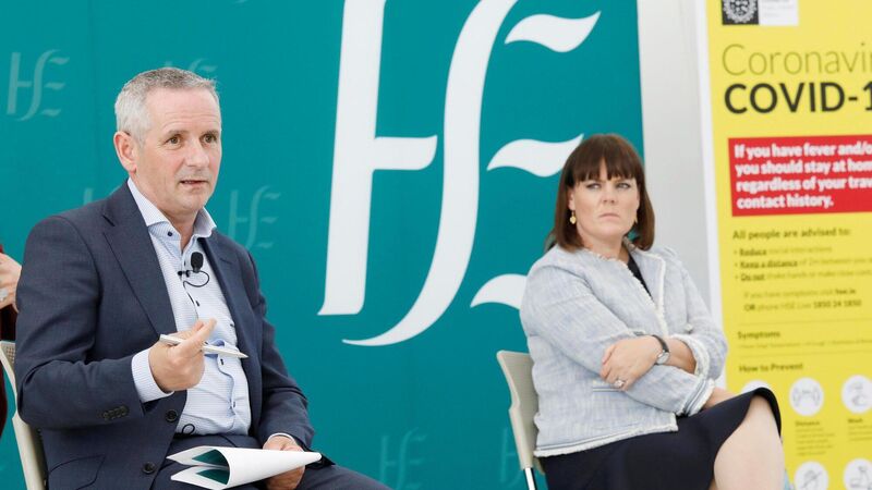 HSE spent almost €18m on consultancy firm during pandemic HSE spent almost €18m on consultancy firm during pandemic