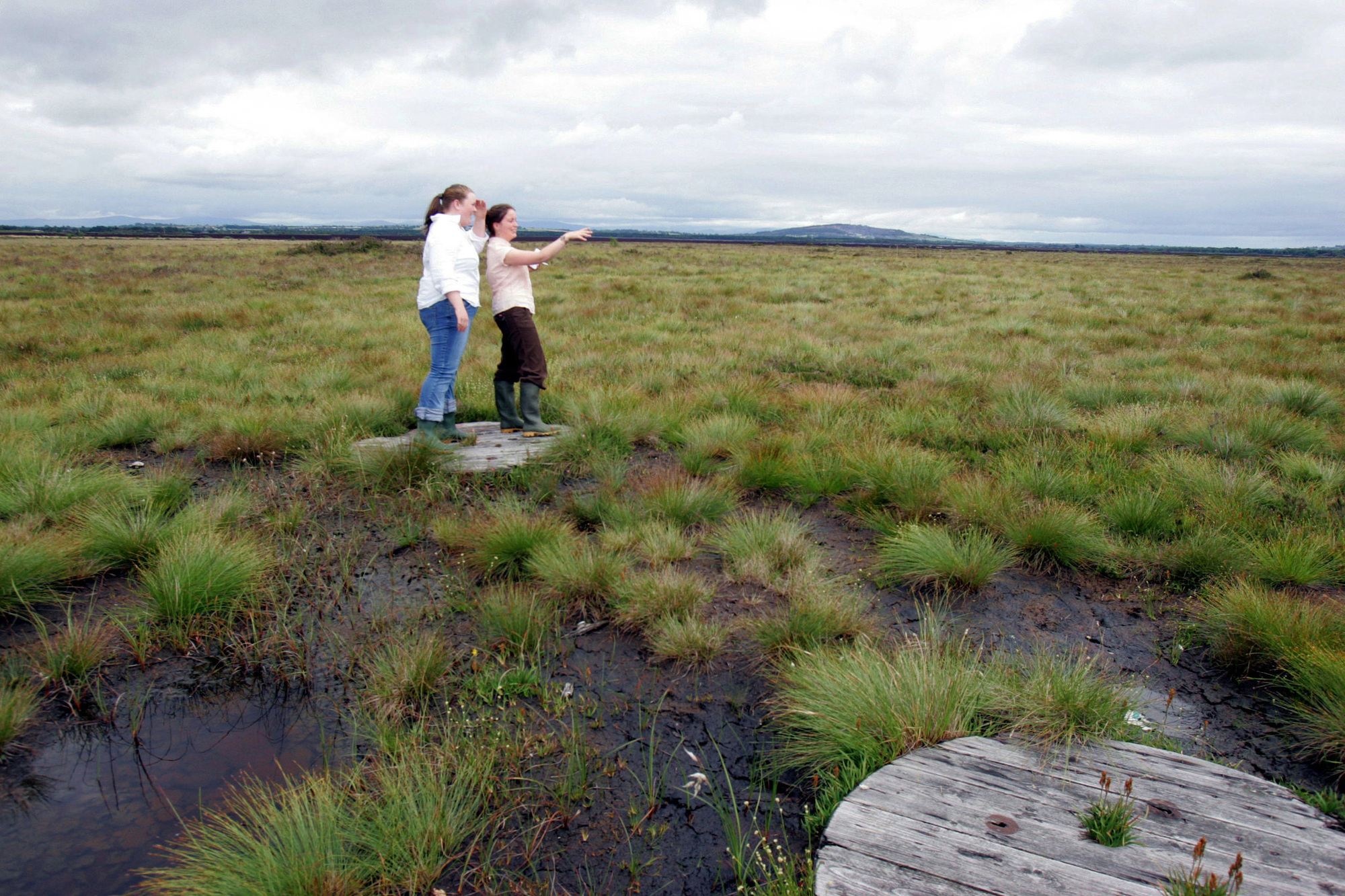 New scheme will improve environmental quality of land around raised bogs