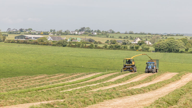 ‘TAMS costings review must include tranche 22 applications’