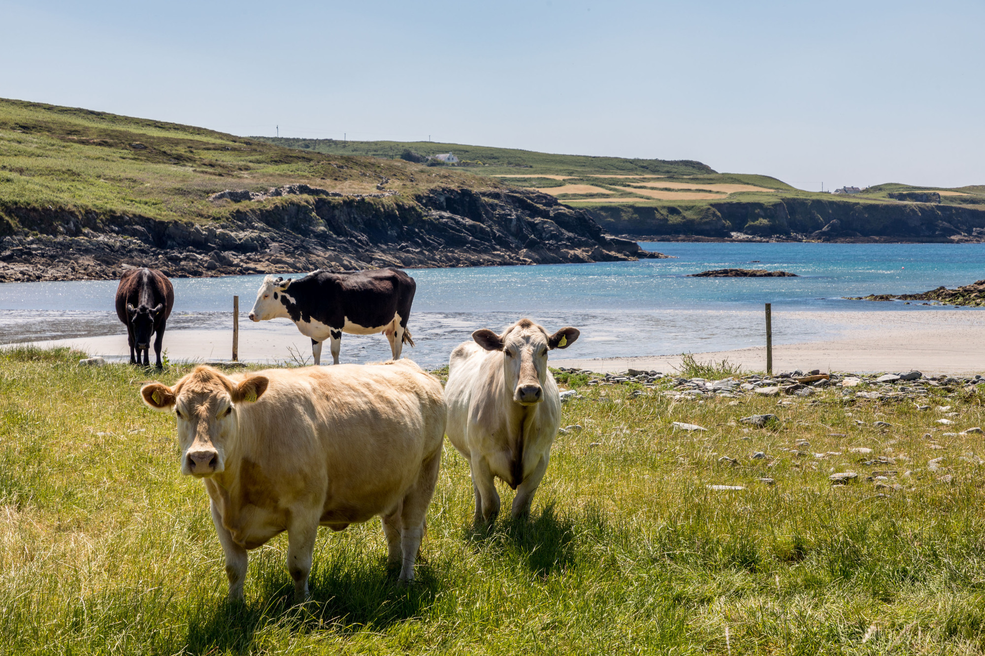 A more targeted approach is needed to resolve anthelmintics prescribing issues