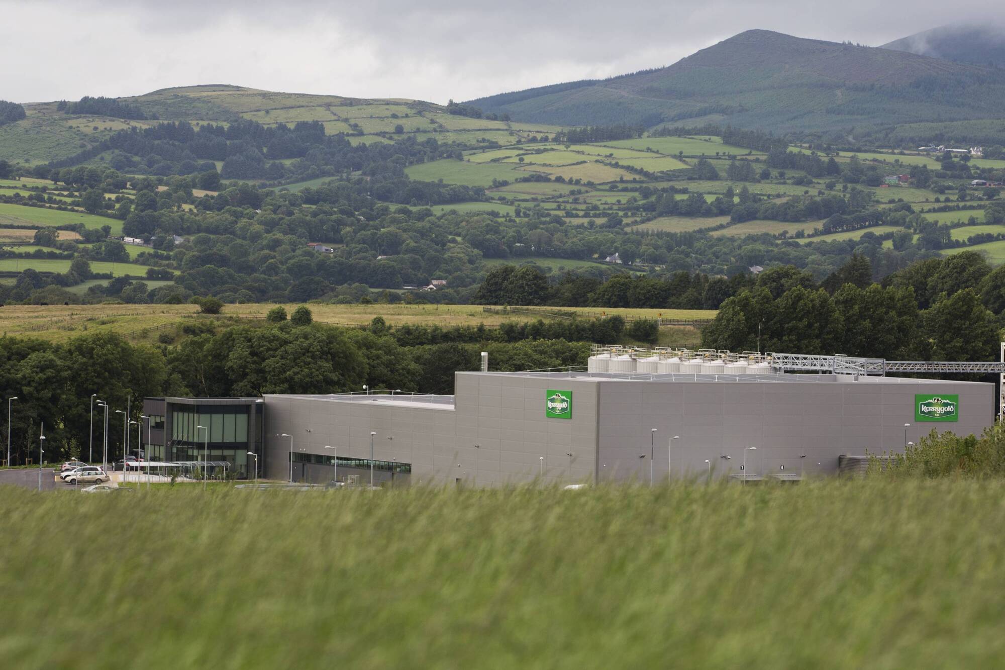 Kerrygold puts €40m expansion of Mitchelstown plant on hold 