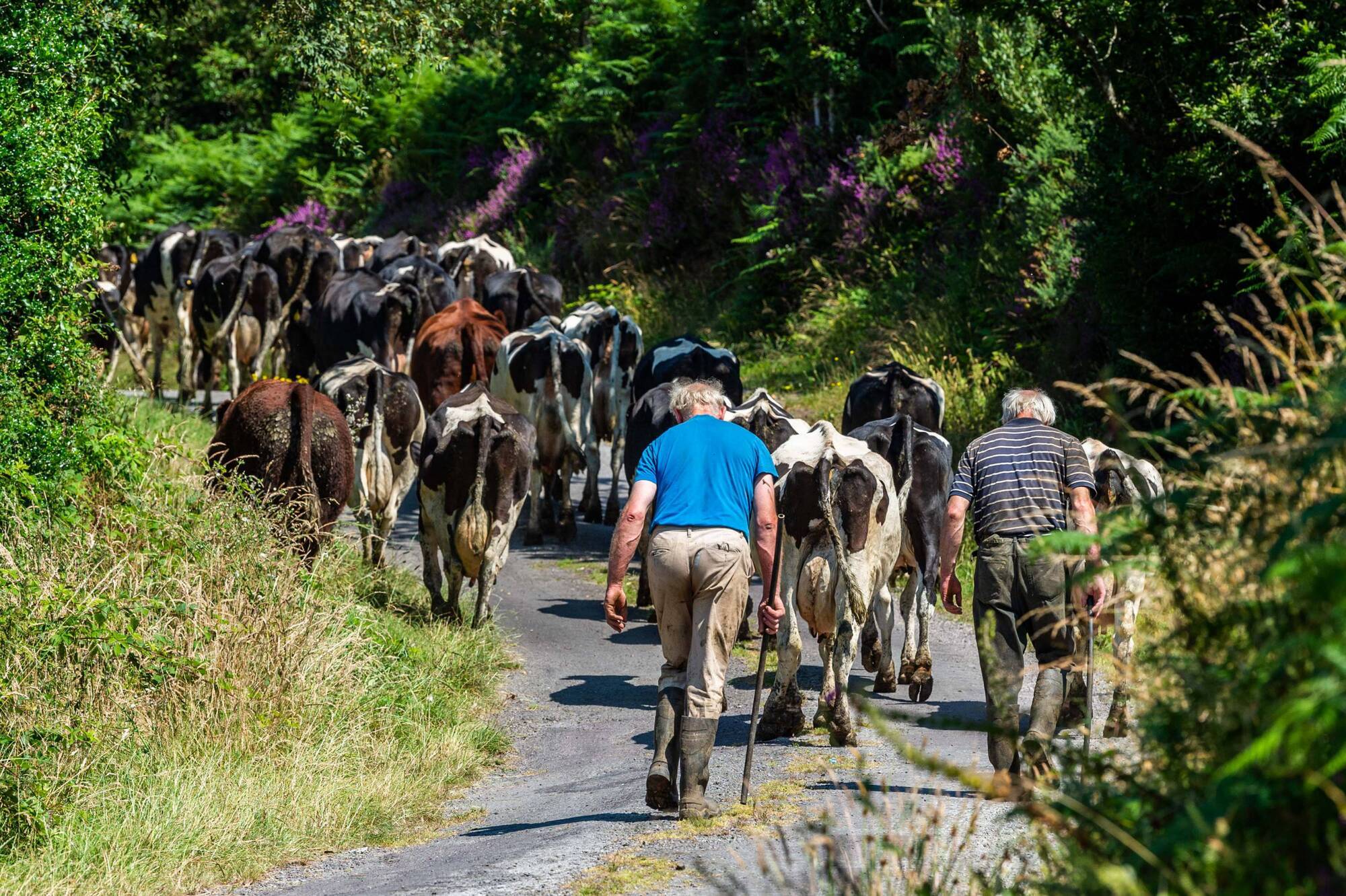 Food Vision 2030: Where will your farm be in ten years? 