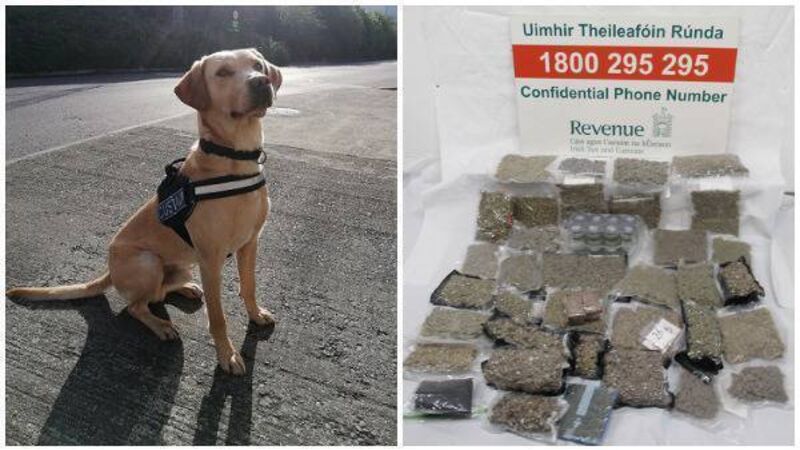 €100k of drugs discovered in parcels marked as 'clothes' and 'dog toys'