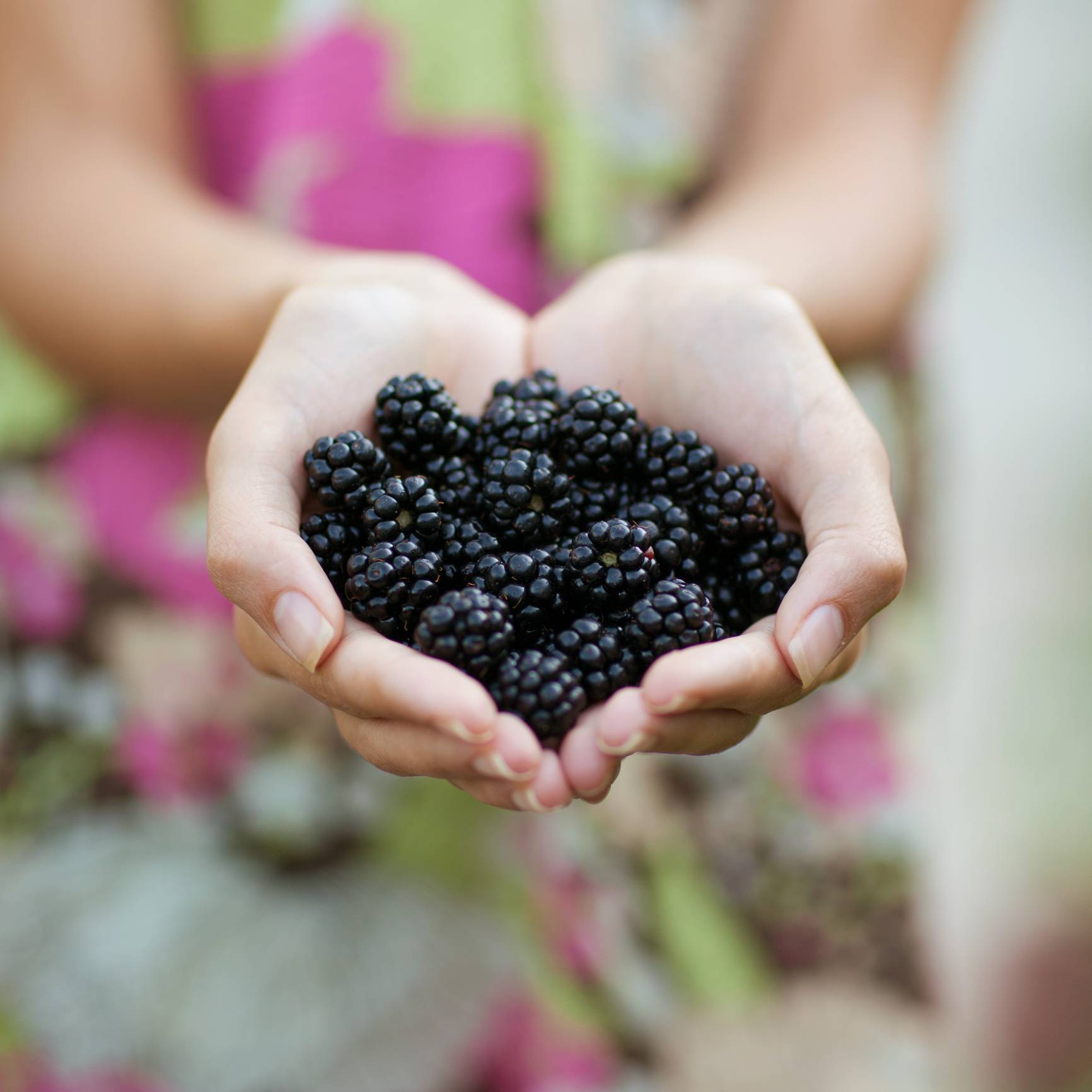 Turn back time: What you eat can make you look and feel younger