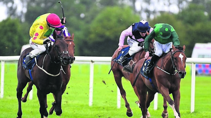 Tipperary and Wexford report: Seisai savours success