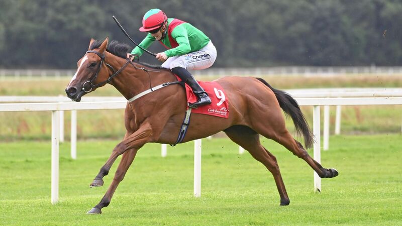 La Petite Coco shows class at Mallow 