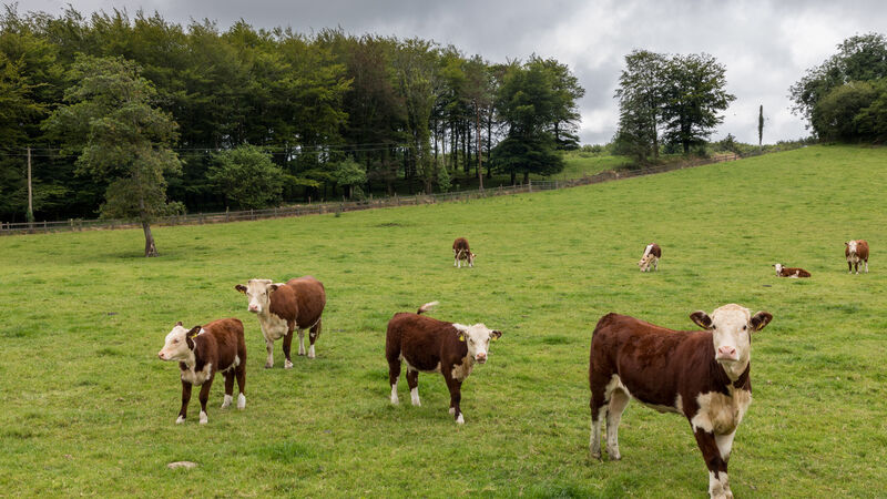 Agricultural and industry interests 'cannot be allowed' to influence climate targets, warns expert Agricultural and industry interests 'cannot be allowed' to influence climate targets, warns expert