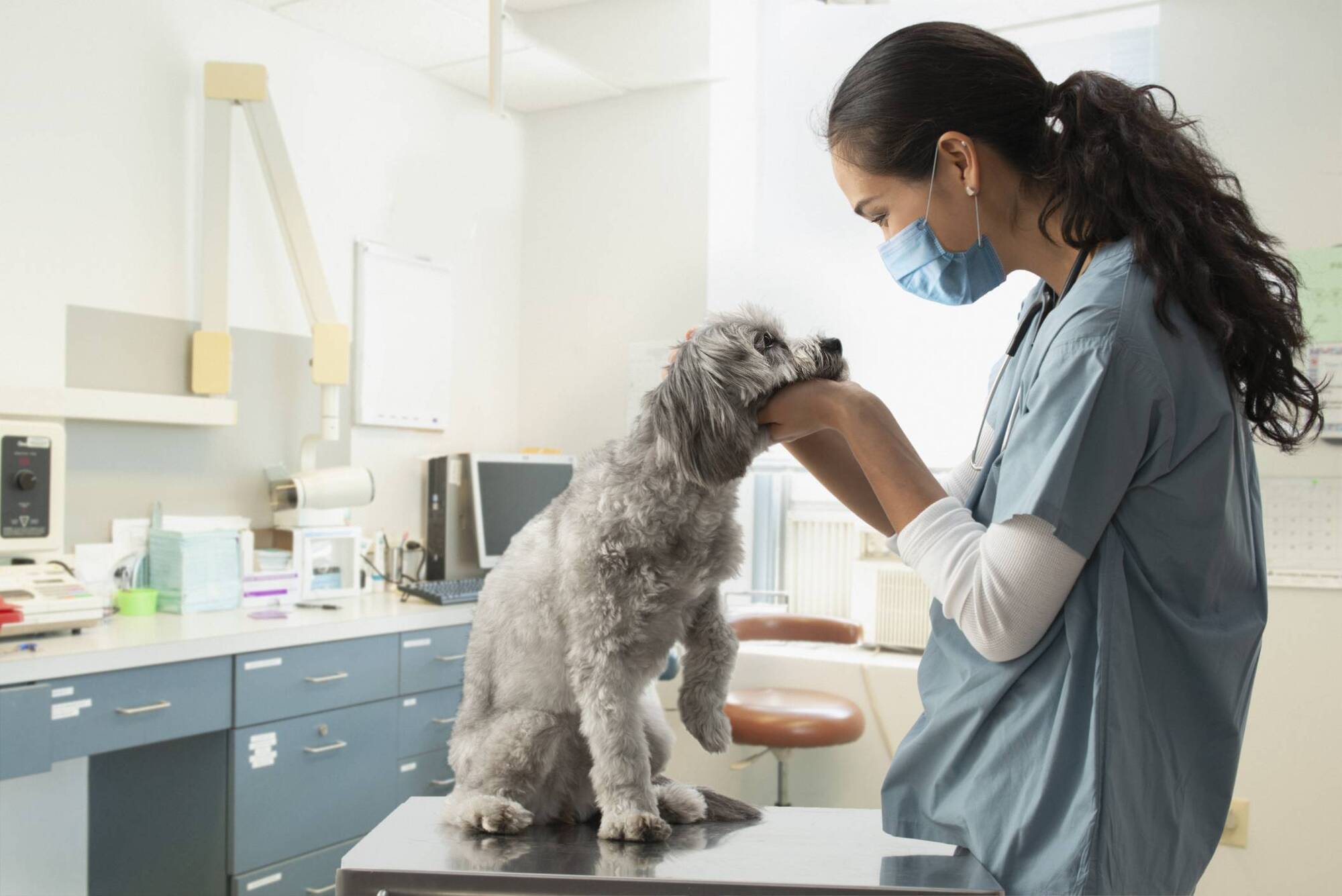 Pete the Vet: What to do if your pet has a lump