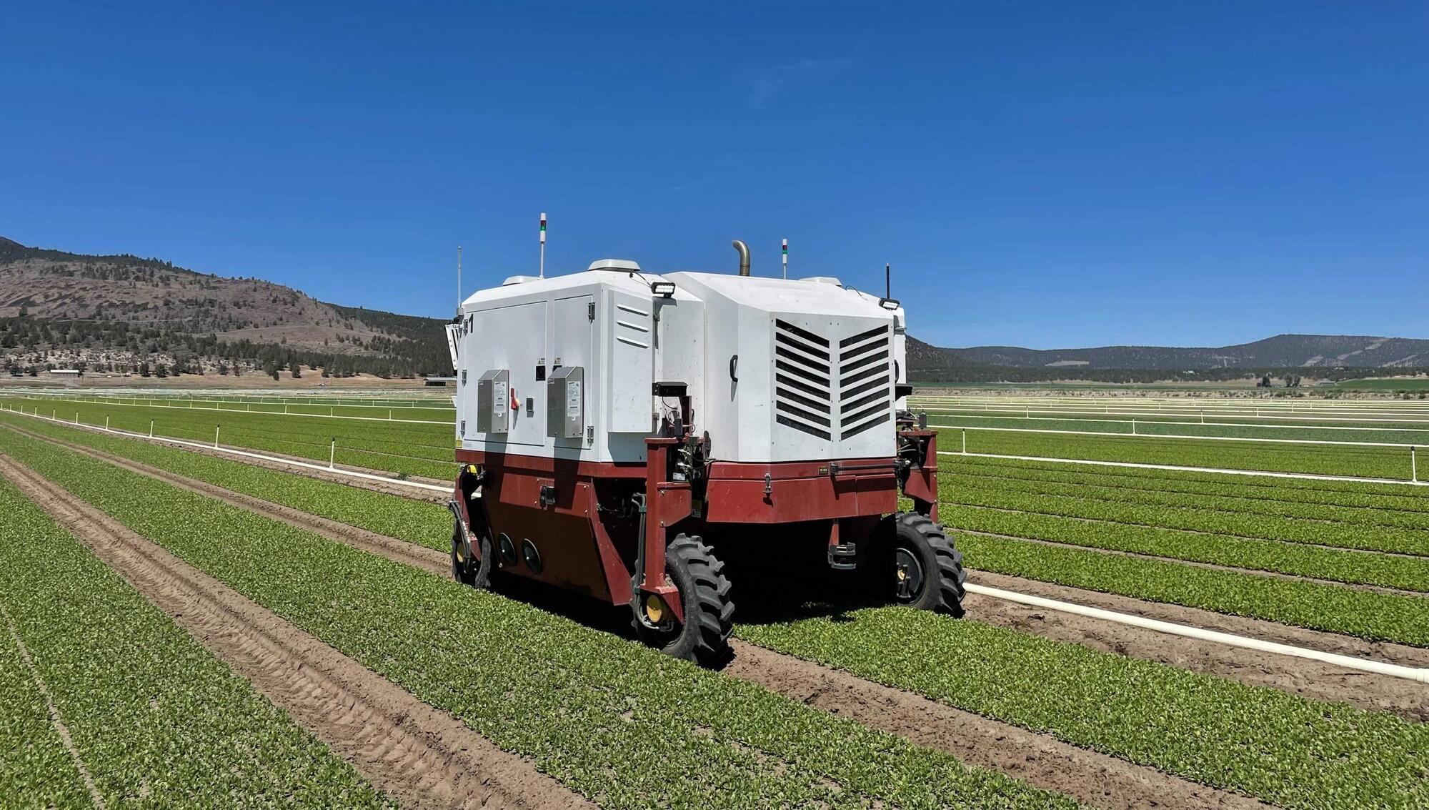 ‘Ten years ago this was science fiction’: the rise of weedkilling robots