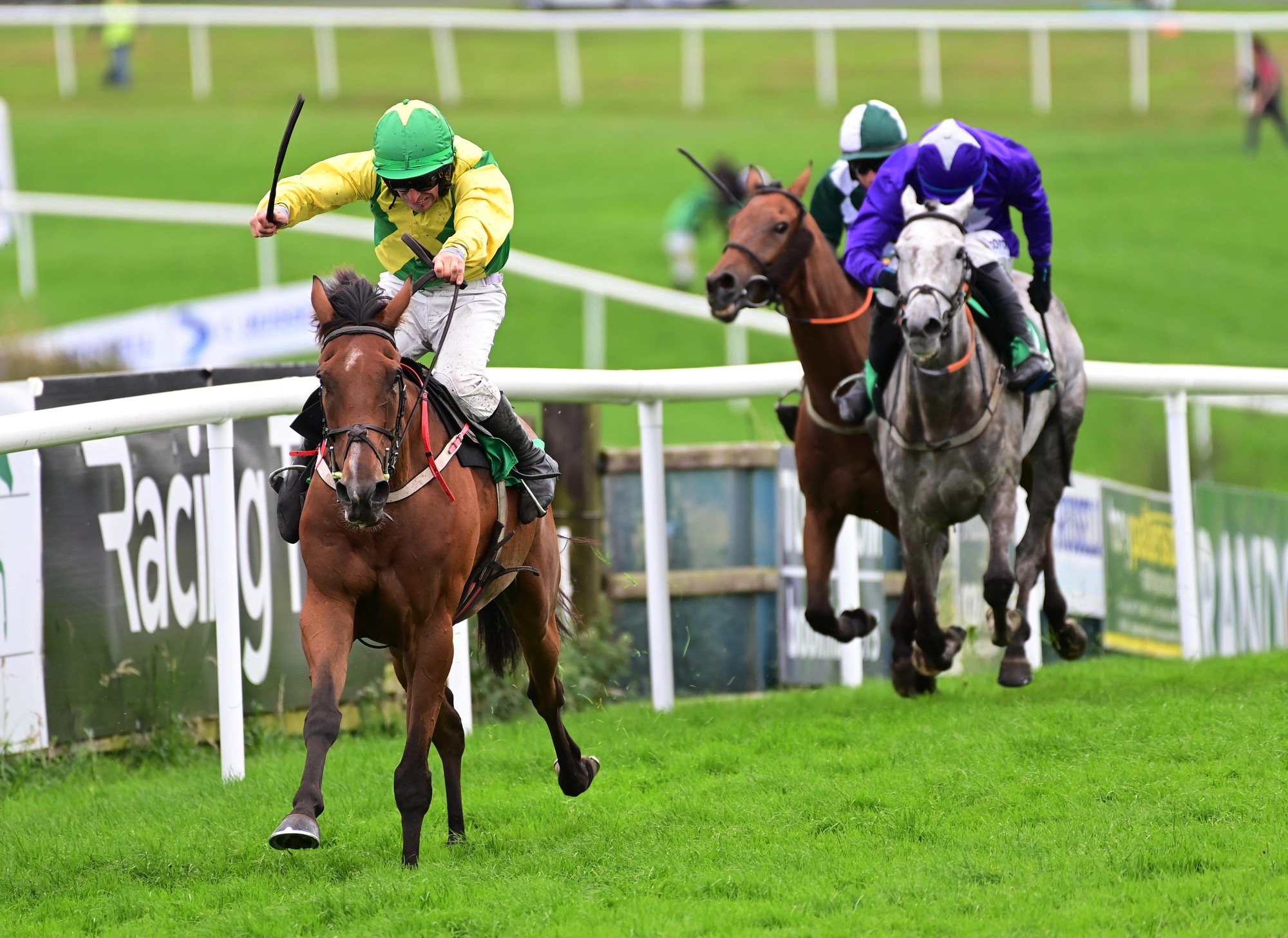Sligo tips: Mark McNiff can shine at his local track 