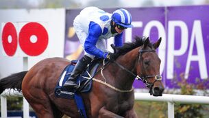 <p>Camorra and Sam Ewing win the Manguard Plus Handicap in Leopardstown last October. Picture: Healy Racing</p>