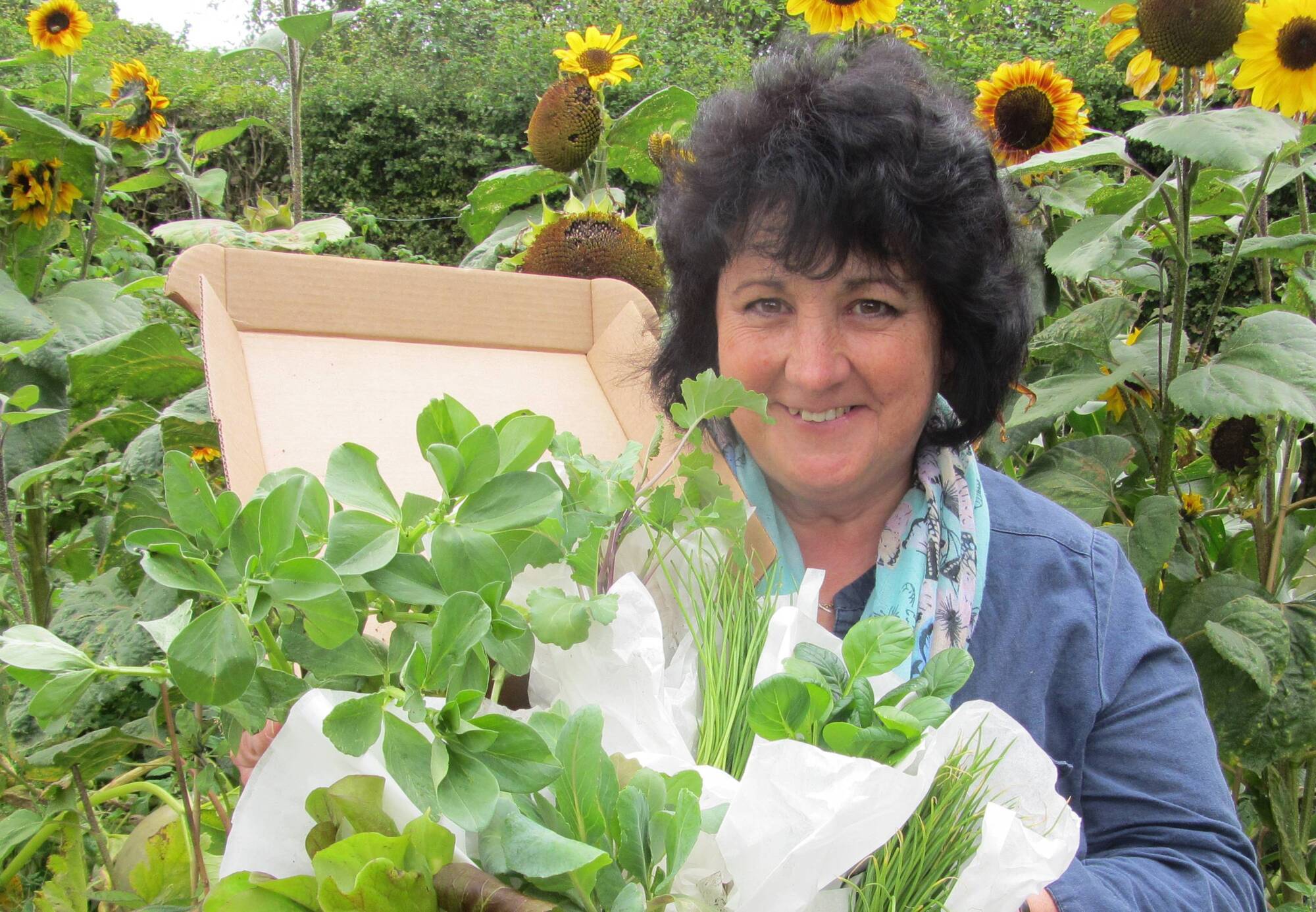 Five vegetables to start growing in your garden now