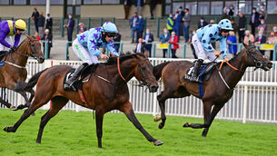 <p>Streets of Doyen and Simon Torrens (near) wins the Guinness Open Gate Brewery Beginners Steeplechase from Western Run (far) at Galway last month. Picture: Healy Racing.</p>
