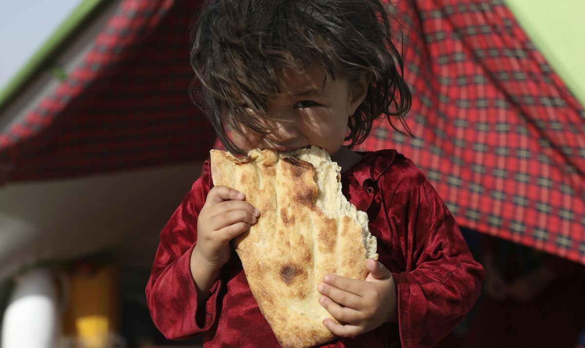 The US have made excruciatingly deadly choices in Afghanistan over the past 20 years, beginning with its invasion under the auspices of their ‘War on Terror’. Photo: AP/Rahmat Gul