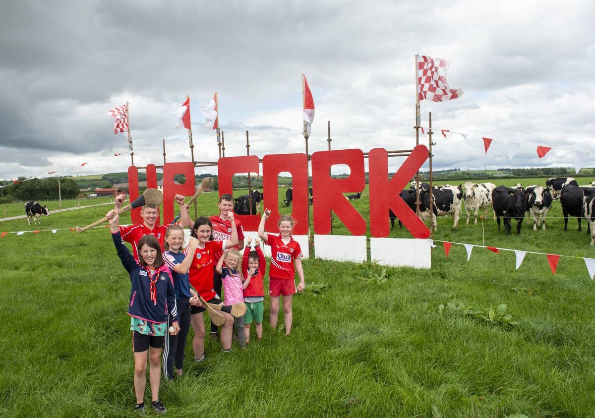 Nephews and nieces of five-time All-Ireland dual star Mary O'Connor showing their support for Cork on the family farm in Killeagh, East Cork. Included are Kate, Lauren, Sara, Cian, Magan, Rian, and Jack O'Connor with Kate Harvey. The sign was first erected in 1999 by Brendan Welch and the late Rory O'Connor and it comes out in support of Cork and Killeagh when they reach a final. Picture: Dan Linehan