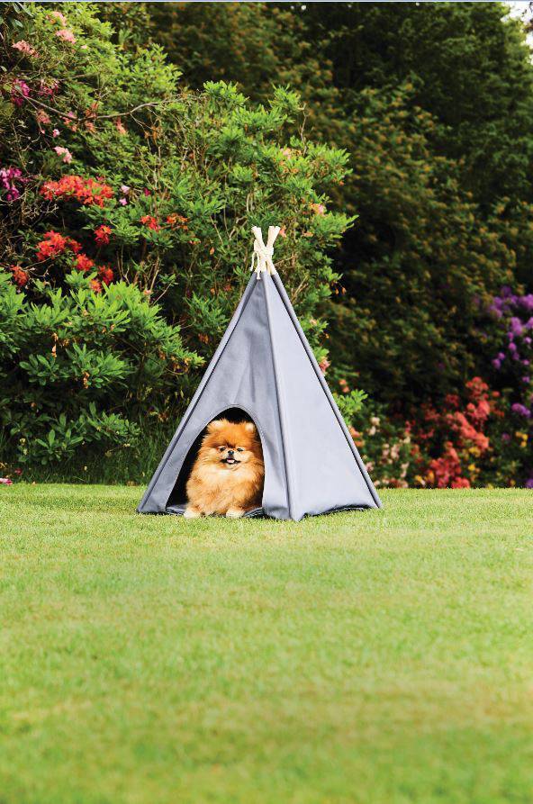 Bargain Hunter: Dreamy homeware from Penneys and pet mania at Aldi