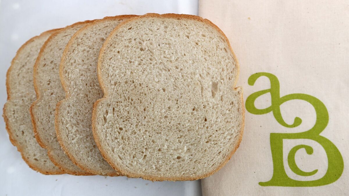 ABC Large Roly. Picture: Jim Coughlan. ABC Large Roly. Picture: Jim Coughlan.