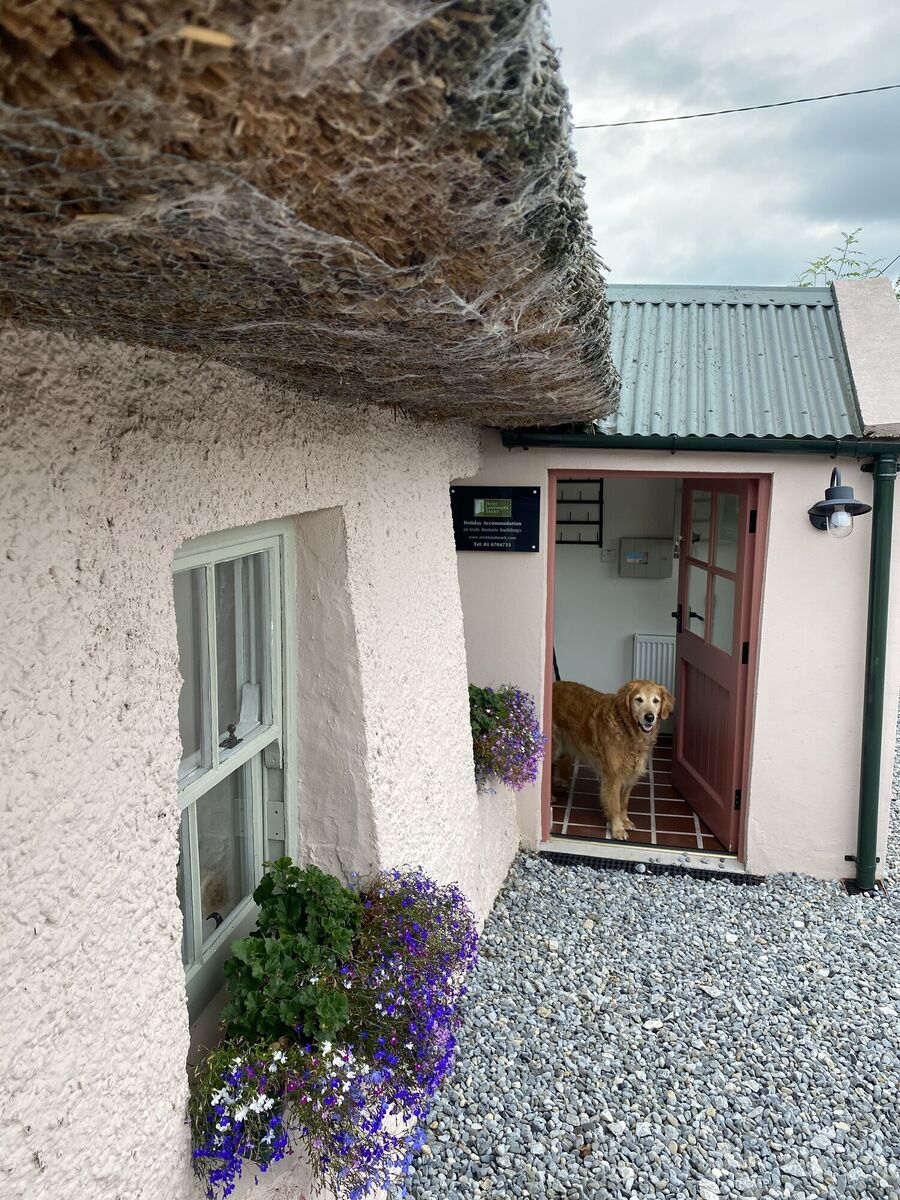 Killee Cottage is located west of Michelstown.