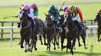 Ruby Walsh: Time running out to find solution to Champions Weekend crowd size