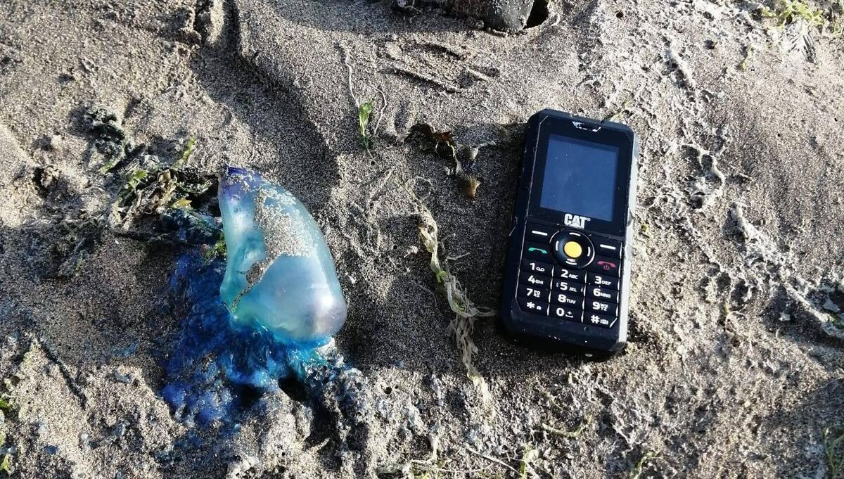 Red flags were also raised at Garrylucas and Owenahincha beaches while one was also found at Garretstown. Picture: Cork County Council Beachguards Facebook