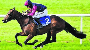 <p class="contextmenu internal_Caption">Dani Barcelona and Patrick Mullins on the way to an impressive victory in a mares’ bumper in Clonmel last June. <span class="contextmenu emphasis CaptionCredit">Picture: Healy Racing</span>
            </p>