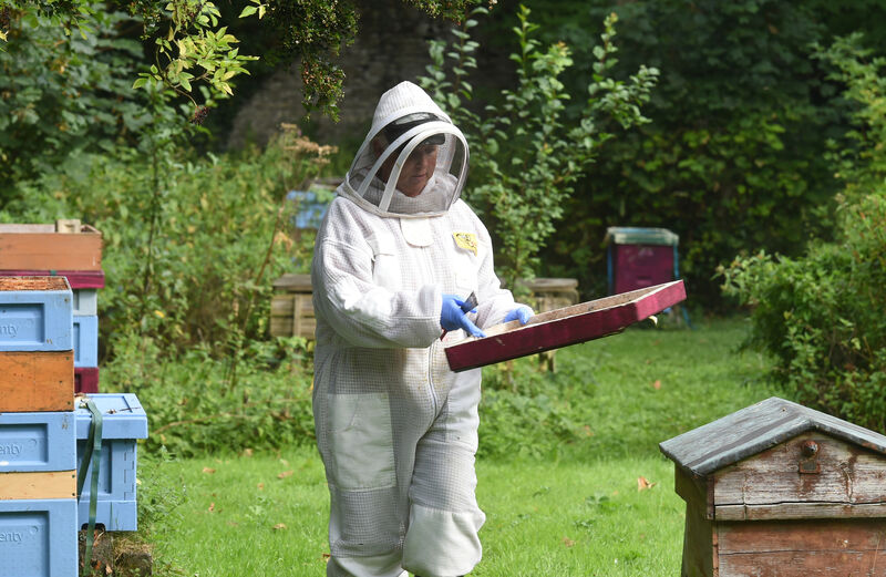 Beekeeper Eleanor Attridge says that despite the decline of pollinators, it is possible 'to get back on track' if everyone pulls together. Picture: Larry Cummins. Beekeeper Eleanor Attridge says that despite the decline of pollinators, it is possible 'to get back on track' if everyone pulls together. Picture: Larry Cummins.