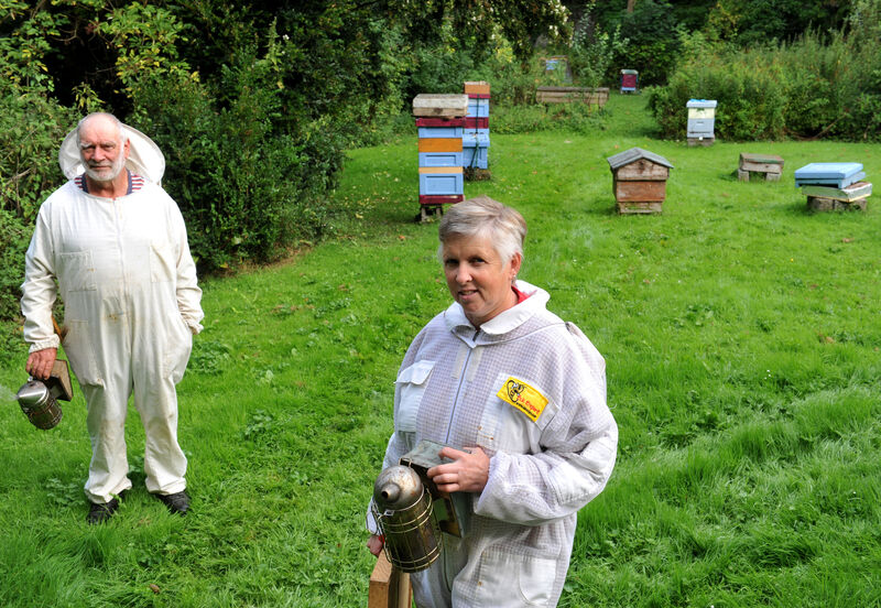 Mick Lane and Eleanor Attridge of Cork Beekeepers Association. Picture: Larry Cummins. Mick Lane and Eleanor Attridge of Cork Beekeepers Association. Picture: Larry Cummins.