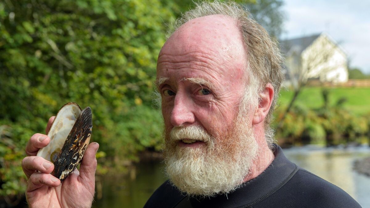 &lsquo;Freshwater pearl mussels are a keystone species in our rivers&rsquo;