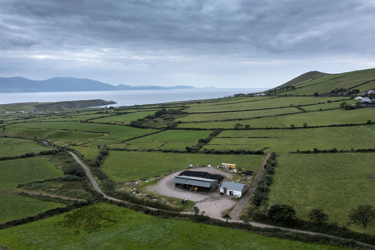 Dinny Glavin's farm in Lispole near Dingle. Picture: Domnick Walsh. Dinny Glavin's farm in Lispole near Dingle. Picture: Domnick Walsh.