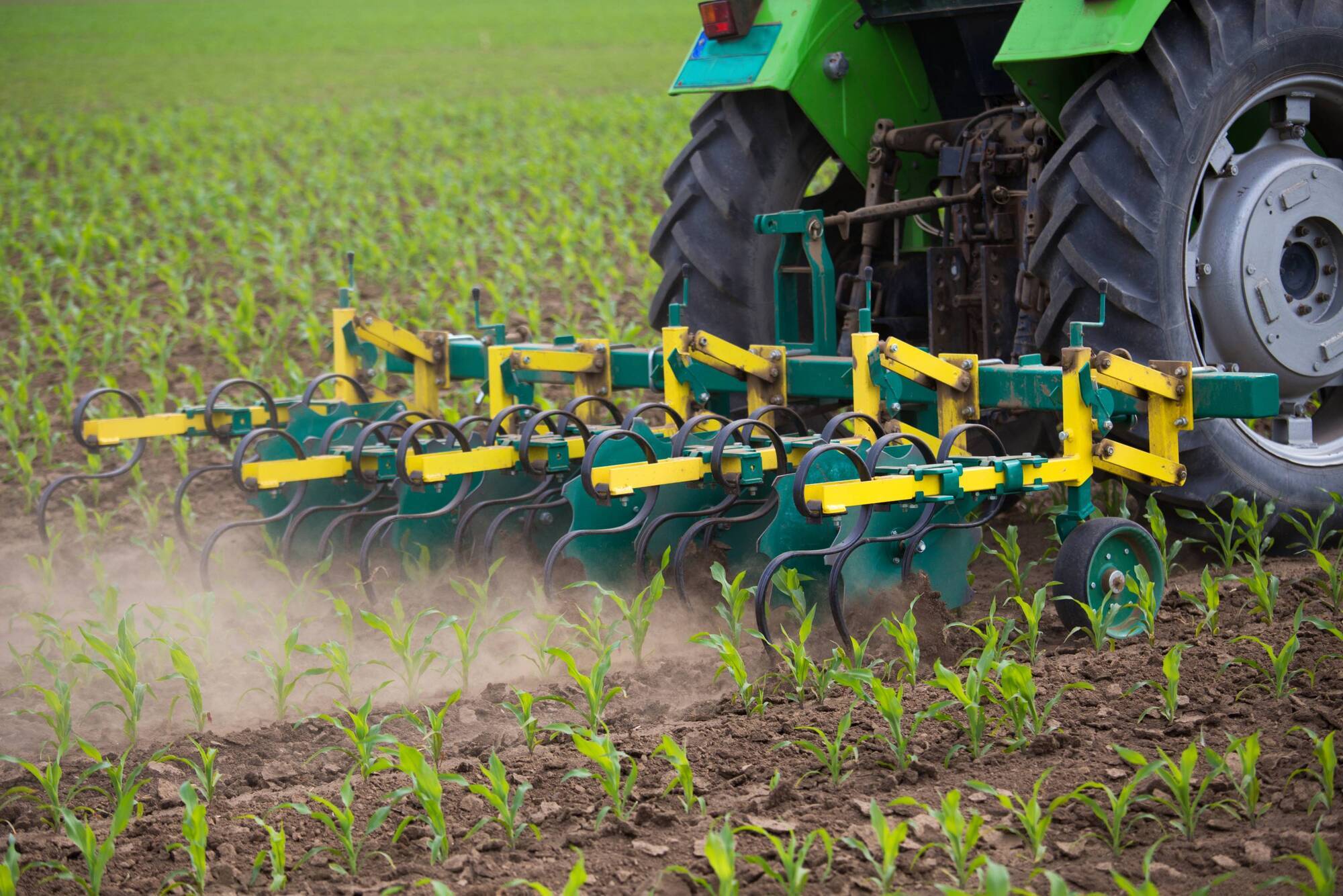 Across the world, a dearth of workers is shaking up food supply chains