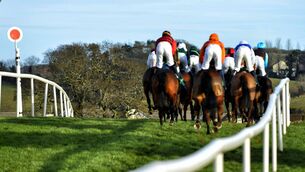 <p>Joseph O’Brien’s colt Snaffles made his debut in a Leopardstown maiden won by Tut Tut</p>