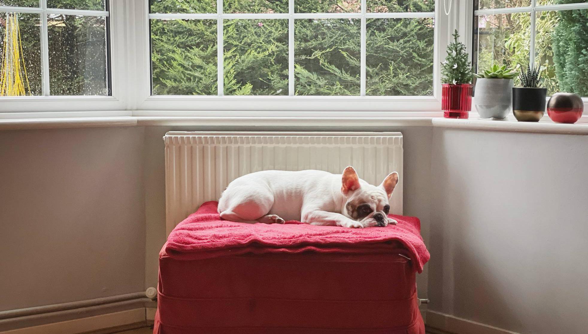 Winter is coming: Getting your home ready before the nights draw in