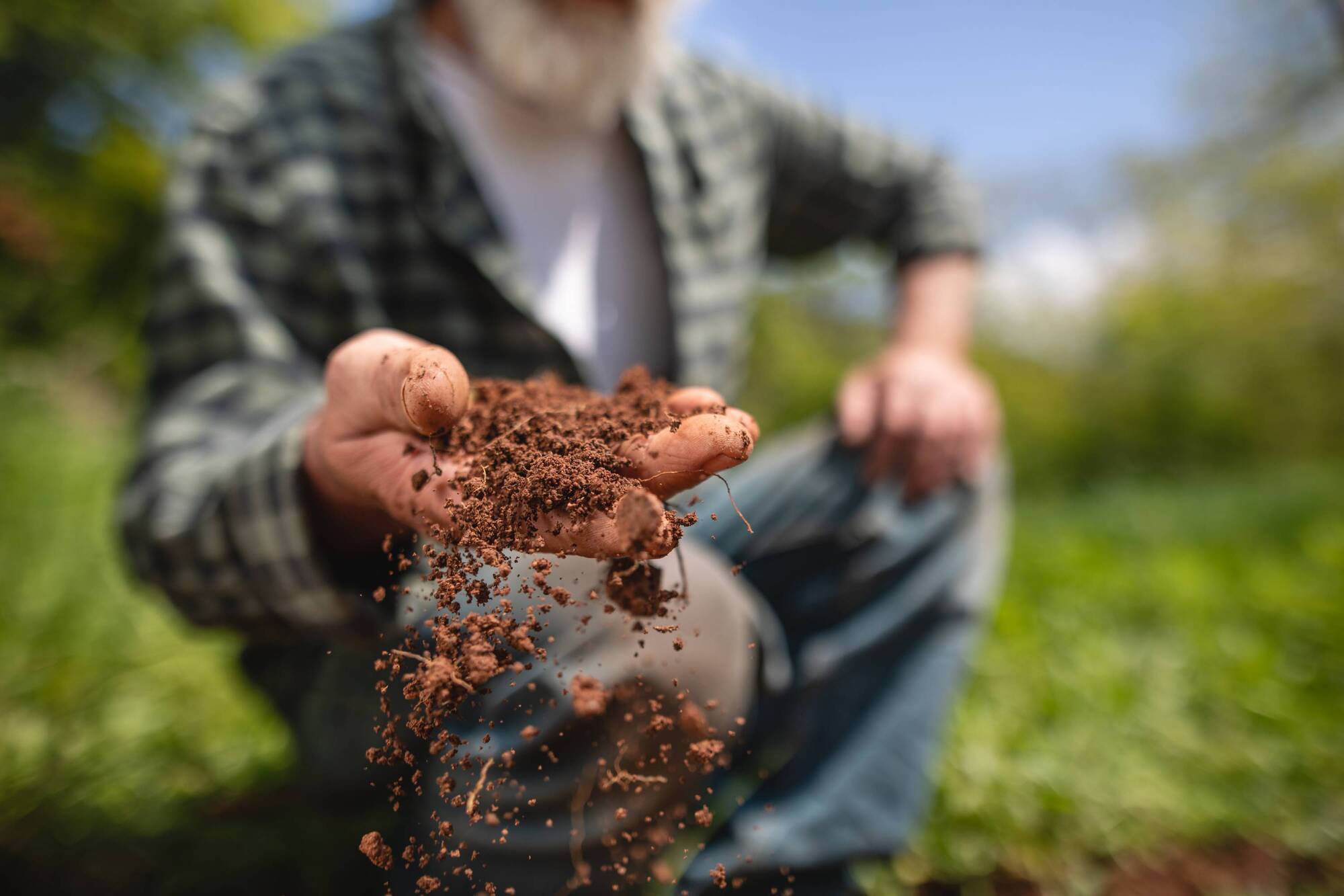 EU may well look at Canada's progress on carbon farming