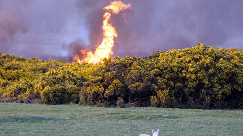 Global health journals unite to demand climate action from world leaders