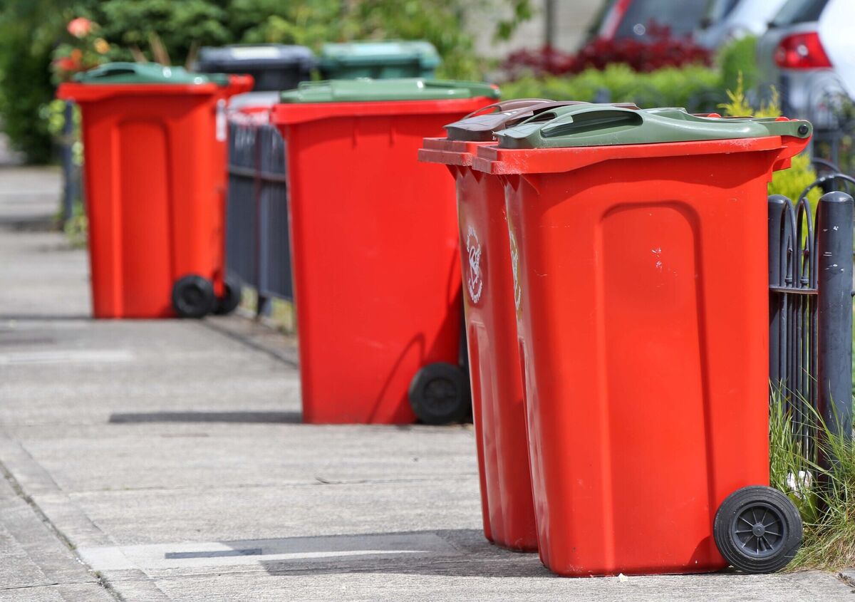 'Bins are a problem for a lot of people because they’re a moving obstacle.'