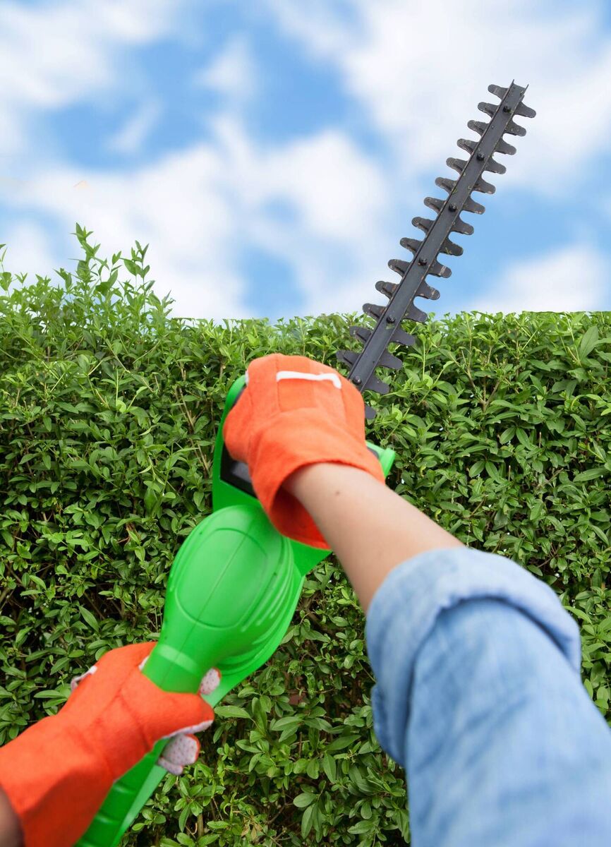 Keeping your hedges trimmed will help people with disabilities to move around more safely. Picture: iStock
