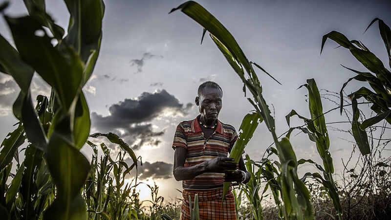 Is food security a basic human right or something only the fortunate few can access? Is food security a basic human right or something only the fortunate few can access?