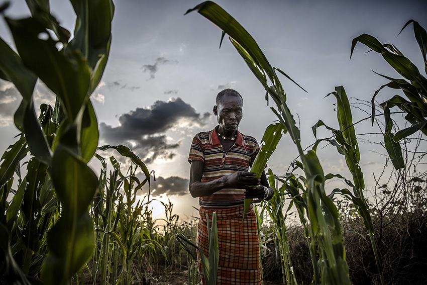 Is food security a basic human right or something only the fortunate few can access?