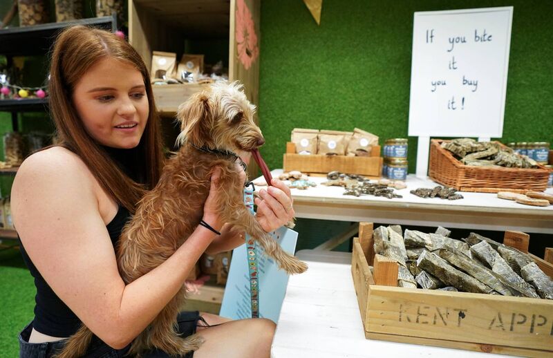 A Drool customer with her dog Flynn enjoying the lick n' mix station.