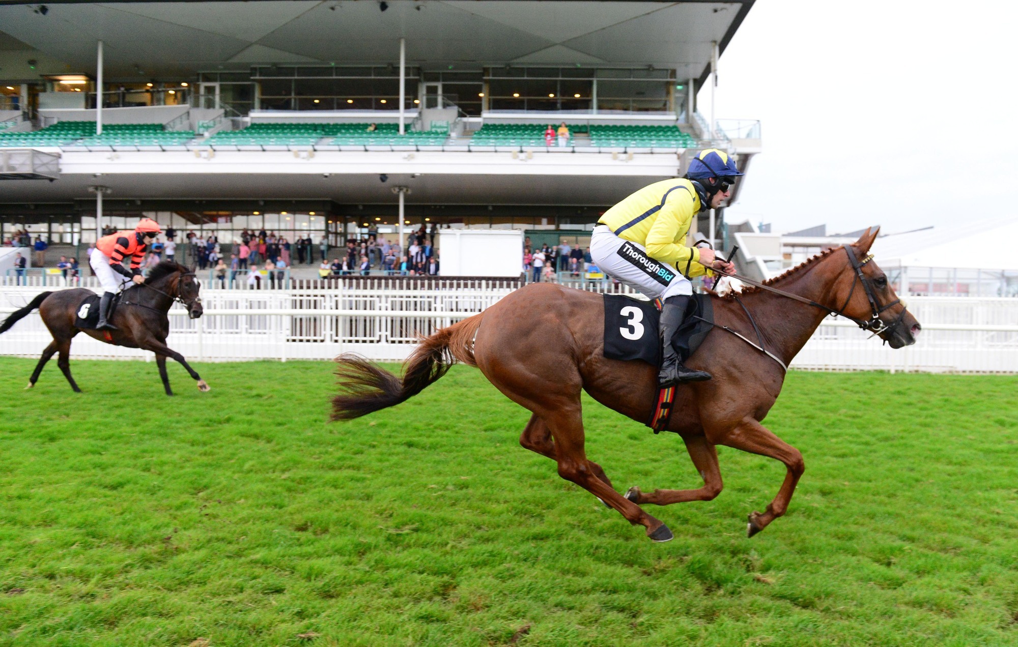 Horse Racing Ireland reveals 48-hour declarations are here to stay