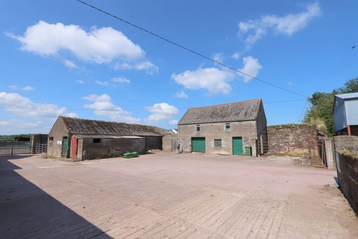 Yard by the house include lofted outbuilding and equestrian facilities