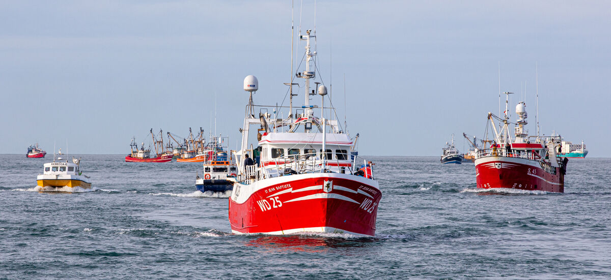 Trawlers making their way to Cork Harbour. Picture: Neil Michael 