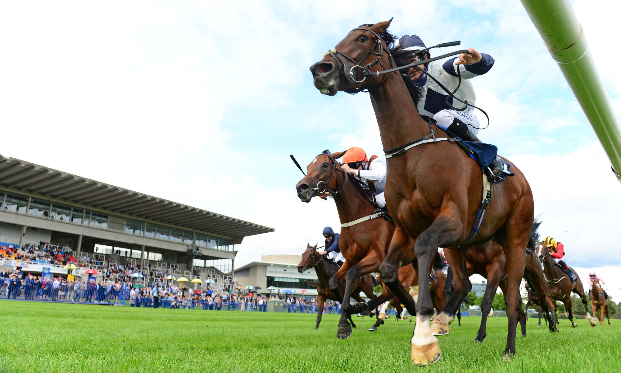 Jessica Harrington-trained No Speak Alexander lands dramatic Matron Stakes