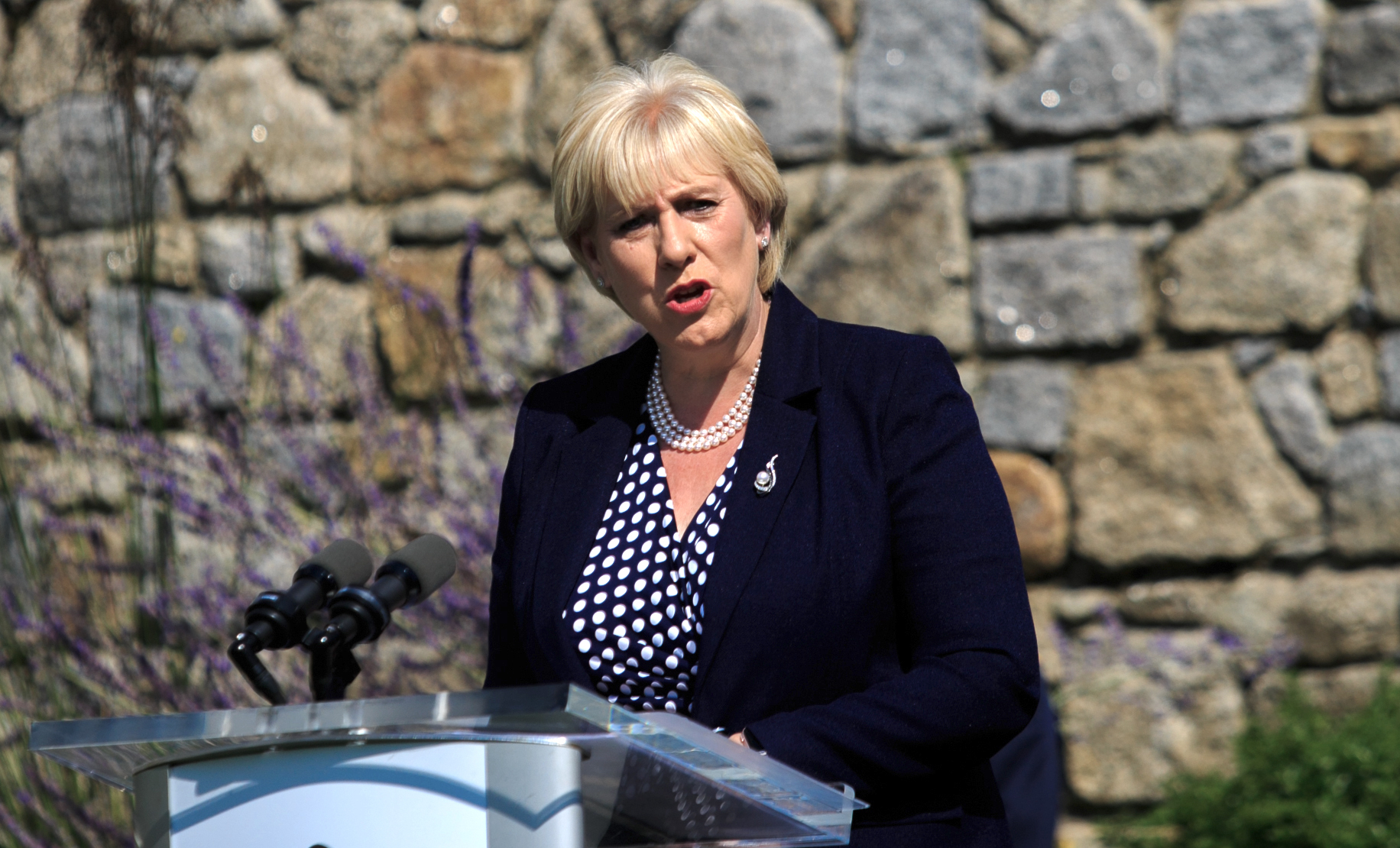 Minister for Social Protection Heather Humphreys says as the report from the Pensions Commission needs to be carefully considered by the Government. Picture: Gareth Chaney/Collins