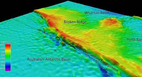 Objects spotted in search for missing plane are dead jellyfish